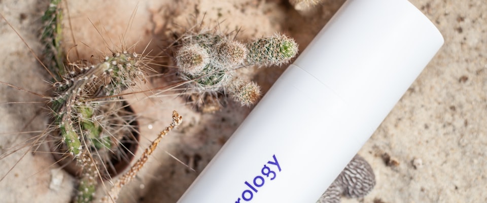 best plastic free toothbrush 2026 hero image