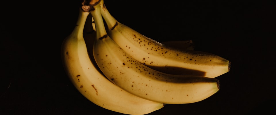 microplastics and fertility hero image